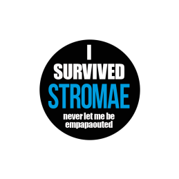 I Survived Stromae