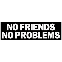 No Friends No Problems