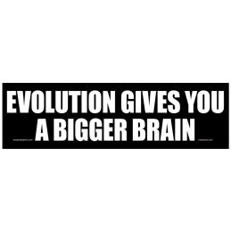 Evolution Gives You A...