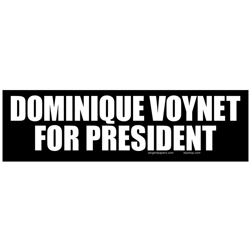 Sticker dominique voynet for president autocollant elections presidentielles