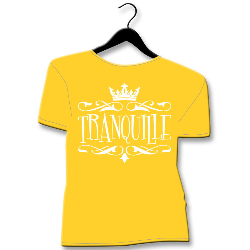tee shirt homme grand taille tranquille humour